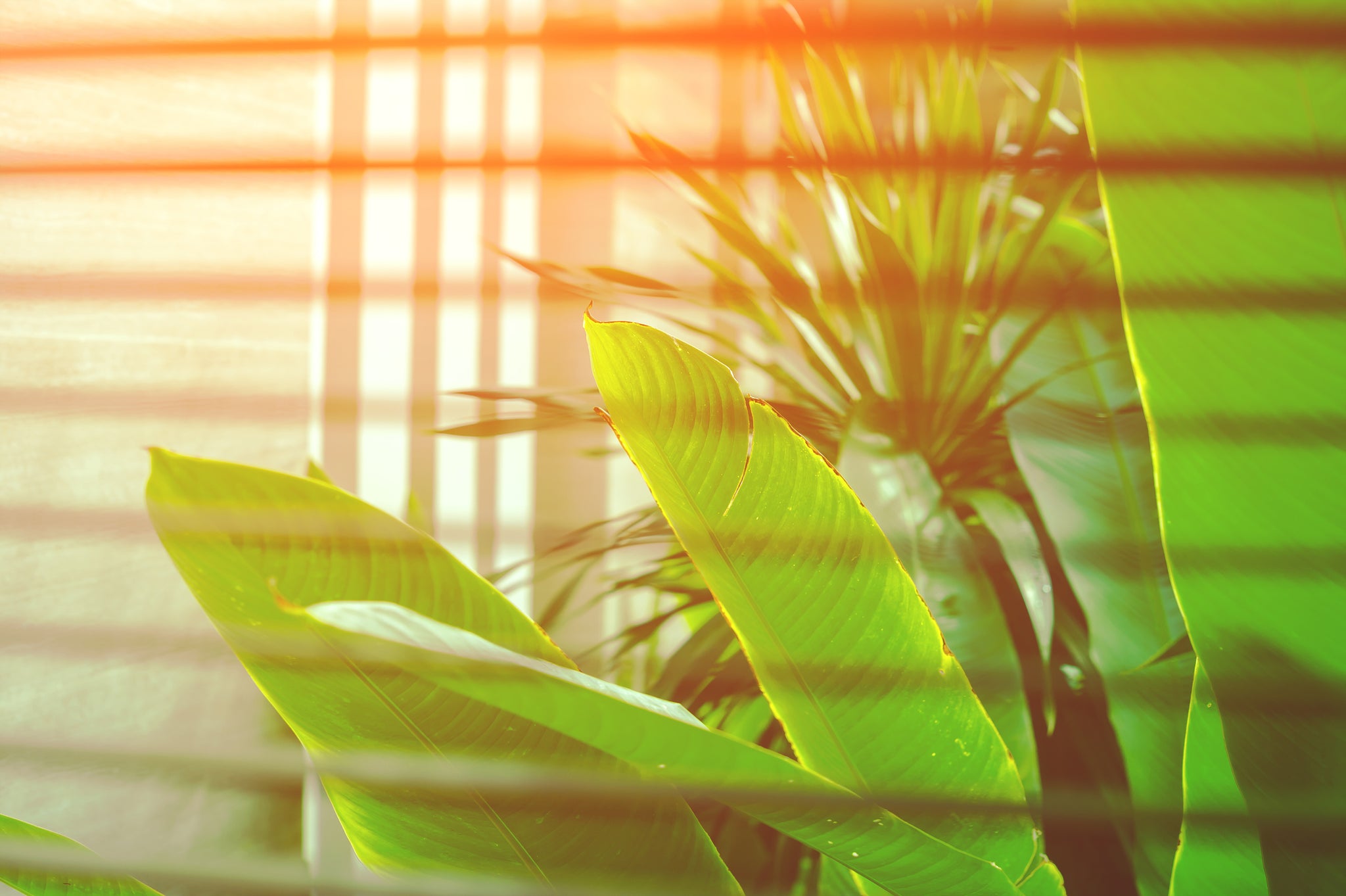3 Tips to Help You Adjust to Daylight Savings Time & The New Spring Season