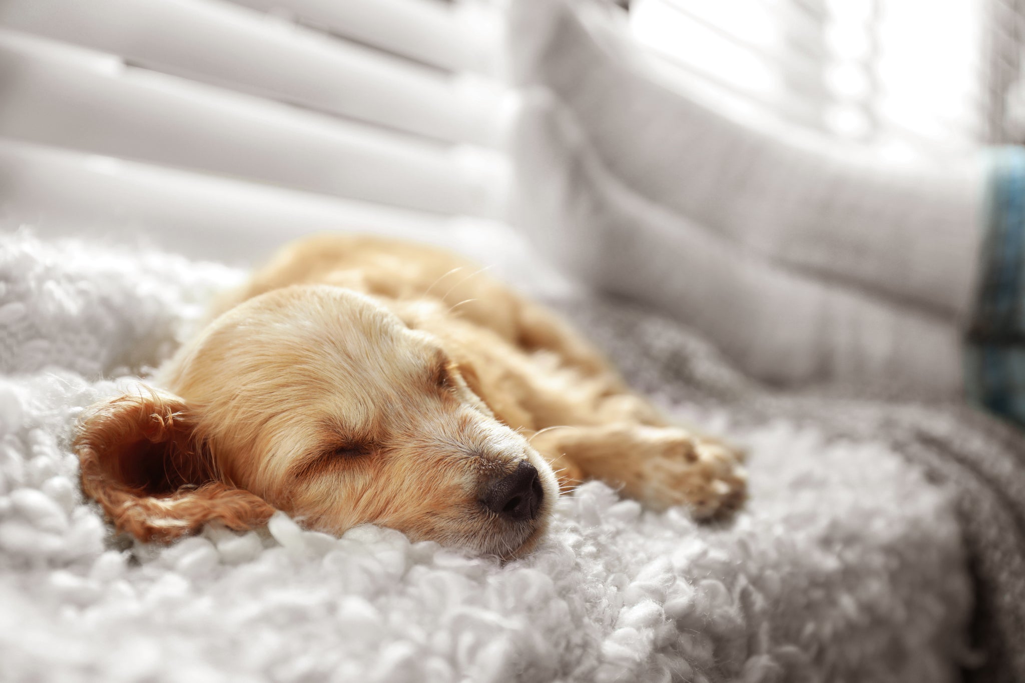 How to build an at home sanctuary with smart home technology